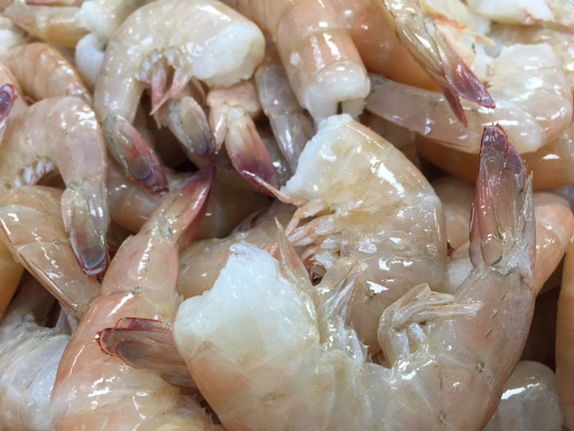 Close up of fresh Pinks.JPG